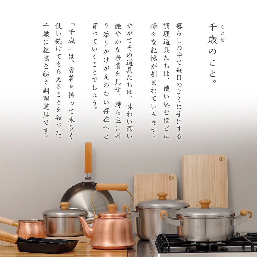 CHITOSE IRON TEMPURA FRYING POT 20CM